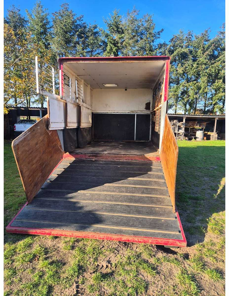 Lastbil MAN L 75F HORSE TRAILER 1994: billede 10