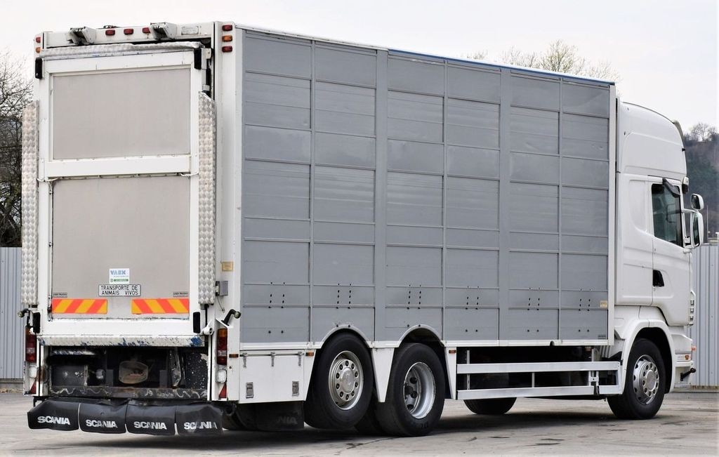 Scania R 500 TIERTRANSPORTWAGEN 7,10m / 4STOCK Scania R 500 TIERTRANSPORTWAGEN 7,10m / 4STOCK - Veetransport lastbil: billede 5 Scania R 500 TIERTRANSPORTWAGEN 7,10m / 4STOCK Scania R 500 TIERTRANSPORTWAGEN 7,10m / 4STOCK - Veetransport lastbil: billede 5