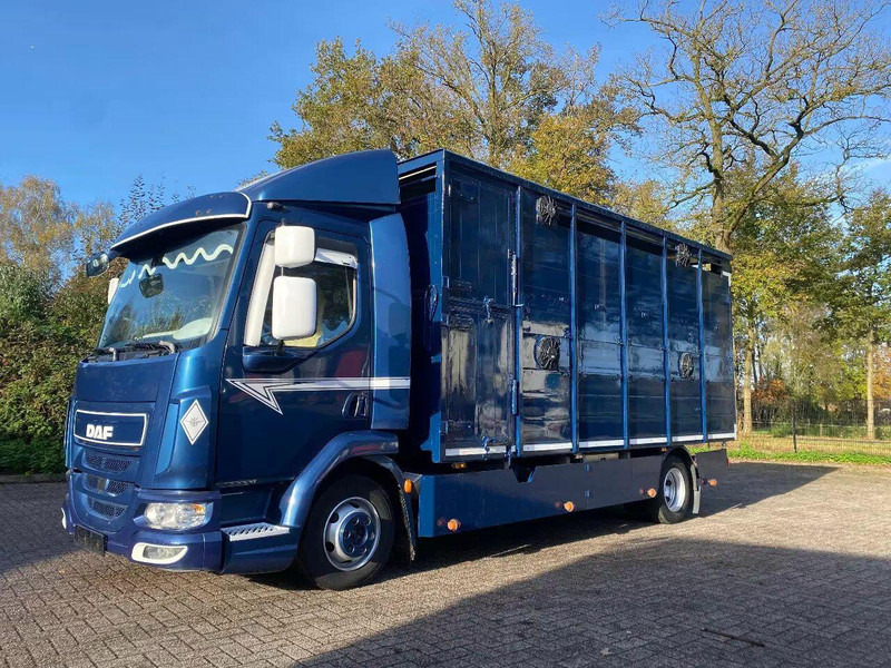 DAF LF 280 - Veetransport lastbil: billede 1 DAF LF 280 - Veetransport lastbil: billede 1