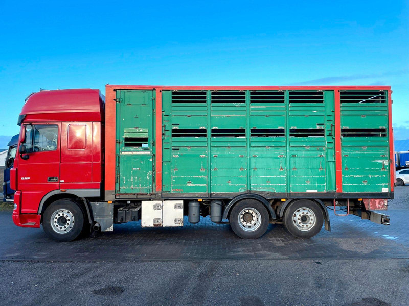 DAF XF 105.460 2-Stock Finkl Viehaufbau / Lenkachs - Veetransport lastbil: billede 5 DAF XF 105.460 2-Stock Finkl Viehaufbau / Lenkachs - Veetransport lastbil: billede 5