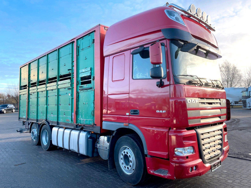 DAF XF 105.460 2-Stock Finkl Viehaufbau / Lenkachs - Veetransport lastbil: billede 1 DAF XF 105.460 2-Stock Finkl Viehaufbau / Lenkachs - Veetransport lastbil: billede 1