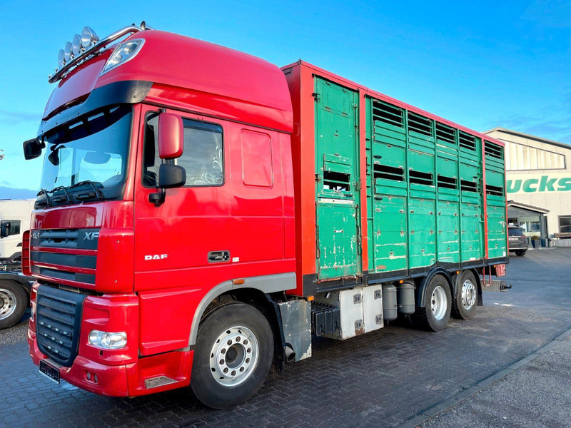 DAF XF 105.460 2-Stock Finkl Viehaufbau / Lenkachs - Veetransport lastbil: billede 2 DAF XF 105.460 2-Stock Finkl Viehaufbau / Lenkachs - Veetransport lastbil: billede 2