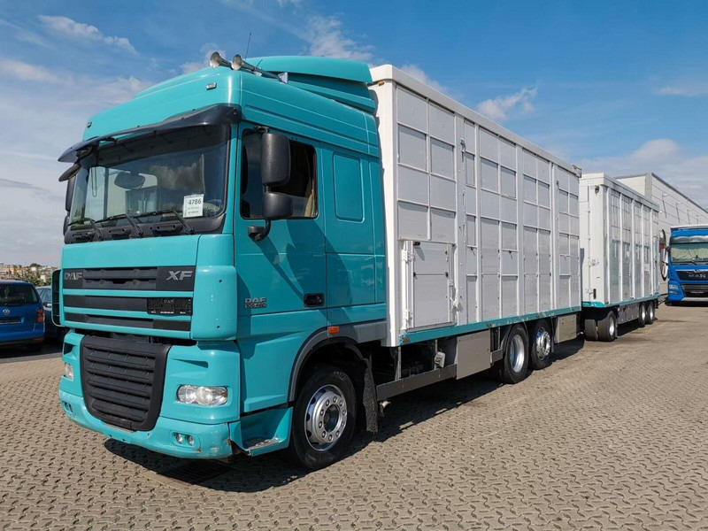 DAF XF 105.460 - Animal transporter + trailer - Veetransport lastbil: billede 1 DAF XF 105.460 - Animal transporter + trailer - Veetransport lastbil: billede 1
