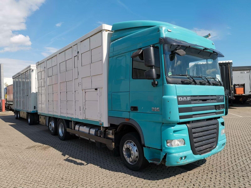 DAF XF 105.460 - Animal transporter + trailer - Veetransport lastbil: billede 2 DAF XF 105.460 - Animal transporter + trailer - Veetransport lastbil: billede 2