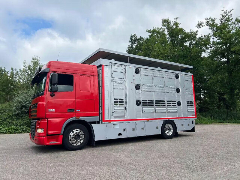 DAF XF 106.460 - Finkl Animal transporter - Veetransport lastbil: billede 1 DAF XF 106.460 - Finkl Animal transporter - Veetransport lastbil: billede 1