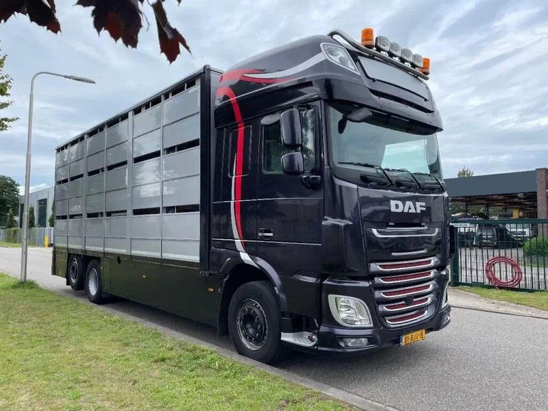 DAF XF 460 - Animal transporter - Veetransport lastbil: billede 2 DAF XF 460 - Animal transporter - Veetransport lastbil: billede 2