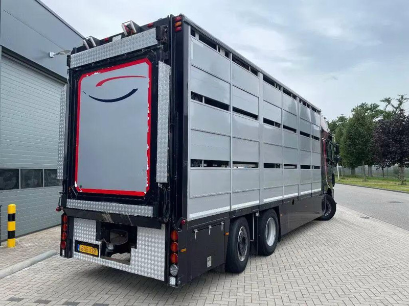 DAF XF 460 - Animal transporter - Veetransport lastbil: billede 5 DAF XF 460 - Animal transporter - Veetransport lastbil: billede 5