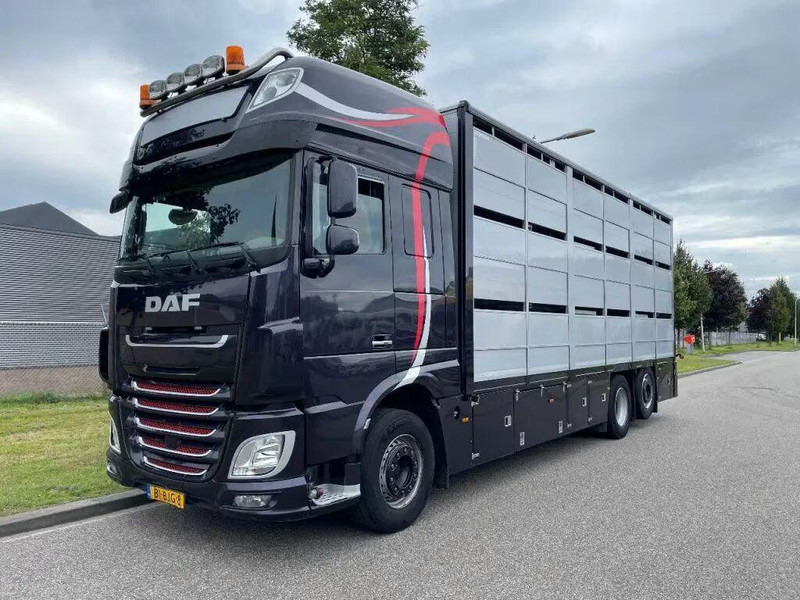 DAF XF 460 - Animal transporter - Veetransport lastbil: billede 1 DAF XF 460 - Animal transporter - Veetransport lastbil: billede 1