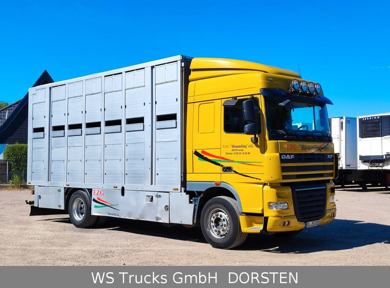 DAF XF410 Menke Doppelstock - Veetransport lastbil: billede 4 DAF XF410 Menke Doppelstock - Veetransport lastbil: billede 4