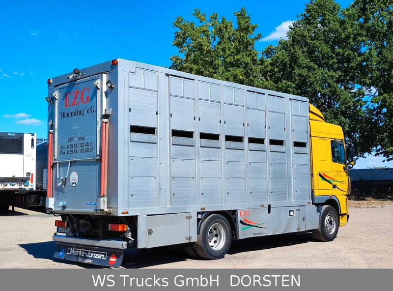 DAF XF410 Menke Doppelstock - Veetransport lastbil: billede 5 DAF XF410 Menke Doppelstock - Veetransport lastbil: billede 5