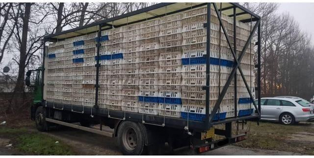 Iveco Eurocargo 180E28 - Veetransport lastbil: billede 3 Iveco Eurocargo 180E28 - Veetransport lastbil: billede 3