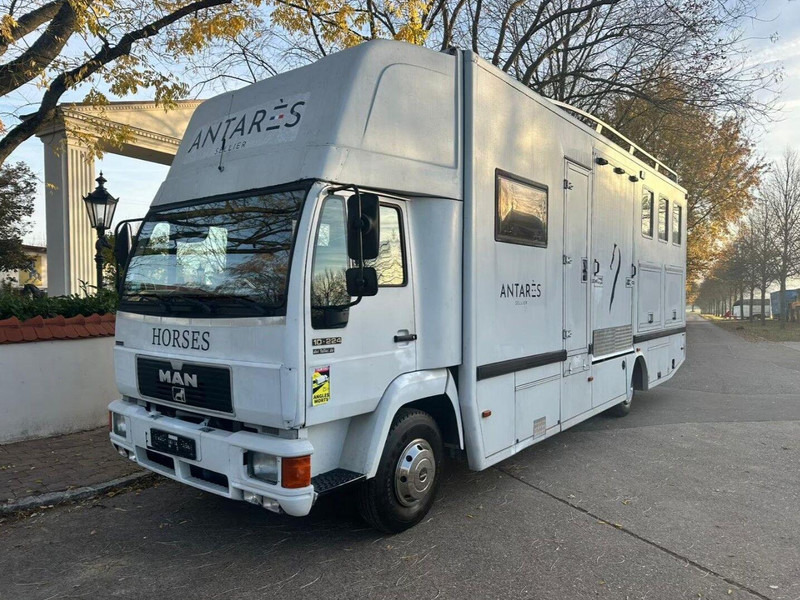 MAN 10.224 - Hestetransporter: billede 2 MAN 10.224 - Hestetransporter: billede 2