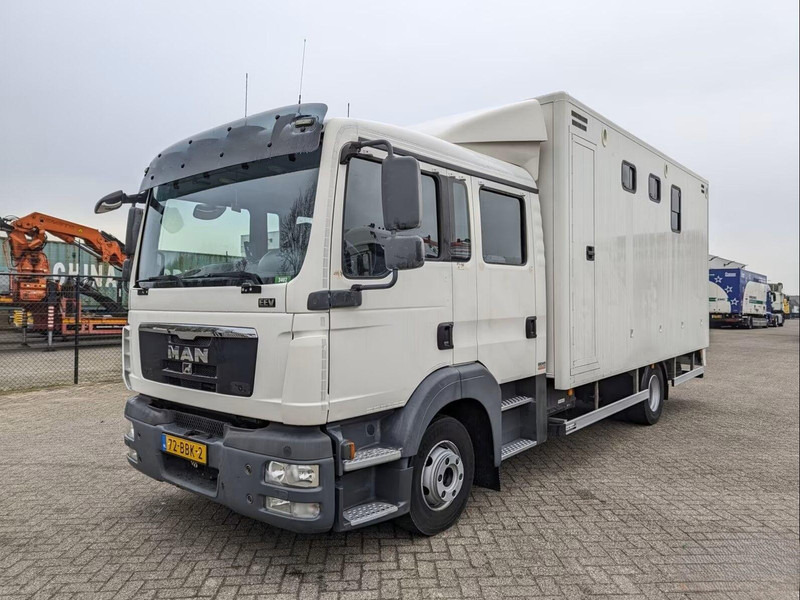 MAN TGL 12.180 - Doka Horse transporter - Hestetransporter: billede 1 MAN TGL 12.180 - Doka Horse transporter - Hestetransporter: billede 1