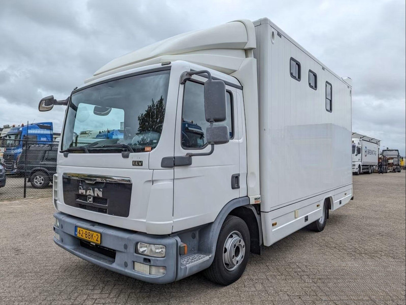 MAN TGL 12.250 - Horse transporter - Hestetransporter: billede 1 MAN TGL 12.250 - Horse transporter - Hestetransporter: billede 1