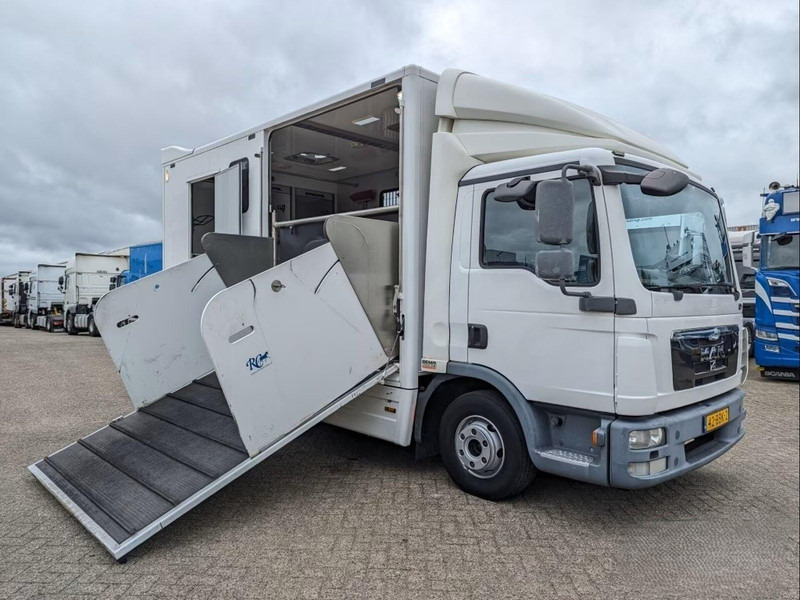 MAN TGL 12.250 - Horse transporter - Hestetransporter: billede 2 MAN TGL 12.250 - Horse transporter - Hestetransporter: billede 2