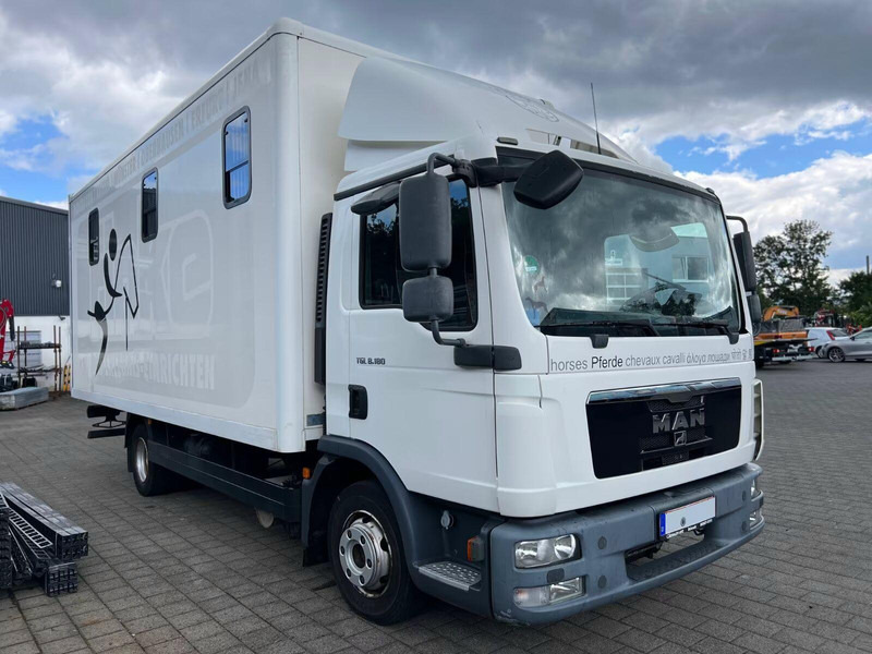 MAN TGL 8.180 - Horse transporter - Hestetransporter: billede 2 MAN TGL 8.180 - Horse transporter - Hestetransporter: billede 2
