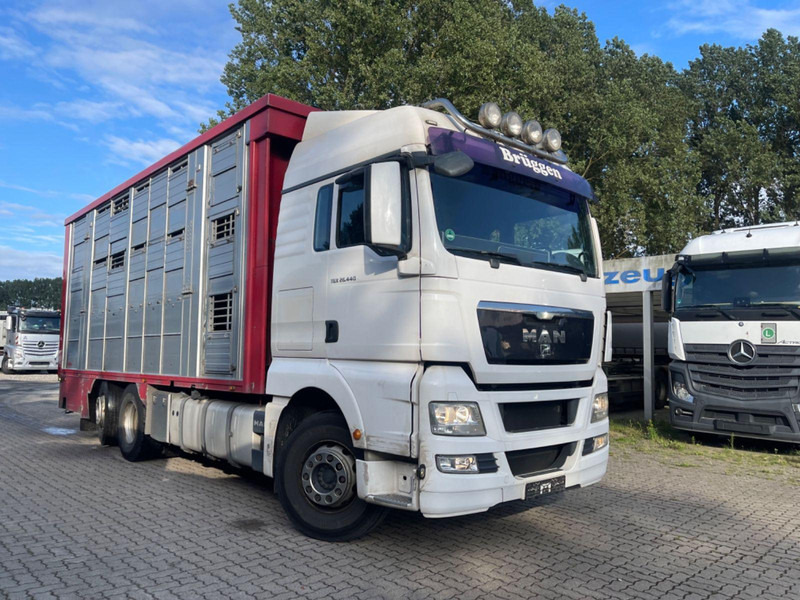 MAN TGX 26.400 6x2-2 LL 3 Stück Finkl Hubdach - Veetransport lastbil: billede 5 MAN TGX 26.400 6x2-2 LL 3 Stück Finkl Hubdach - Veetransport lastbil: billede 5