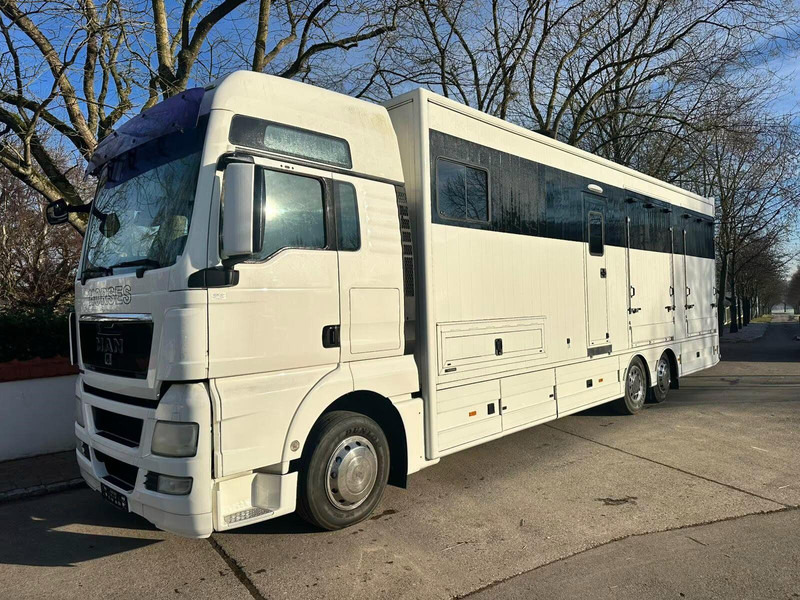 MAN TGX 26.440 - Horse transporter - Hestetransporter: billede 1 MAN TGX 26.440 - Horse transporter - Hestetransporter: billede 1