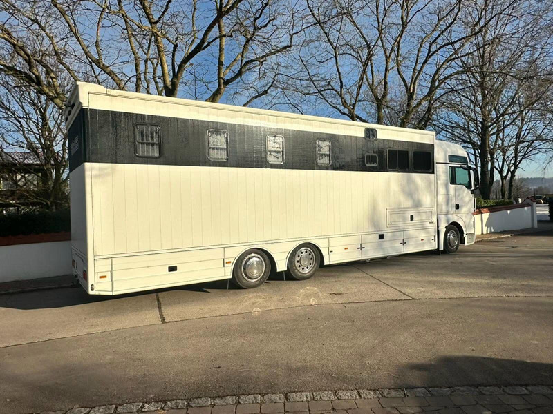 MAN TGX 26.440 - Horse transporter - Hestetransporter: billede 3 MAN TGX 26.440 - Horse transporter - Hestetransporter: billede 3