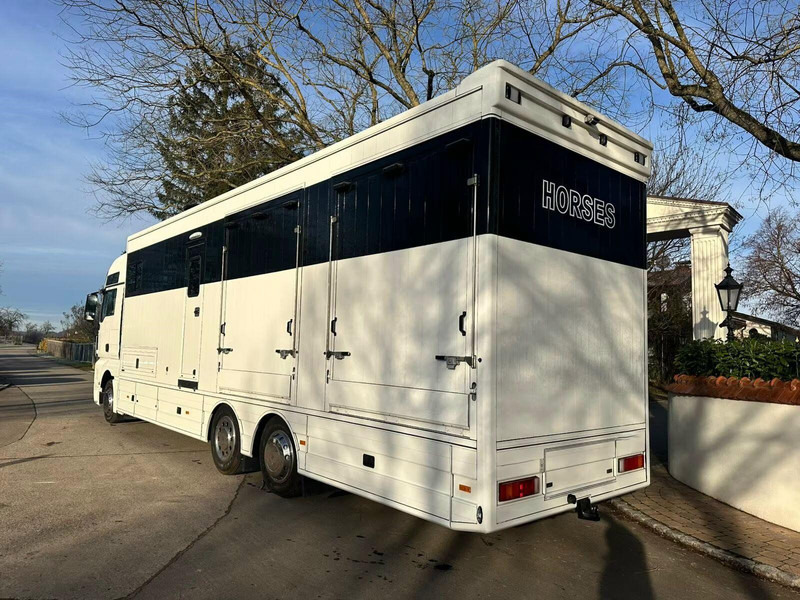 MAN TGX 26.440 - Horse transporter - Hestetransporter: billede 4 MAN TGX 26.440 - Horse transporter - Hestetransporter: billede 4