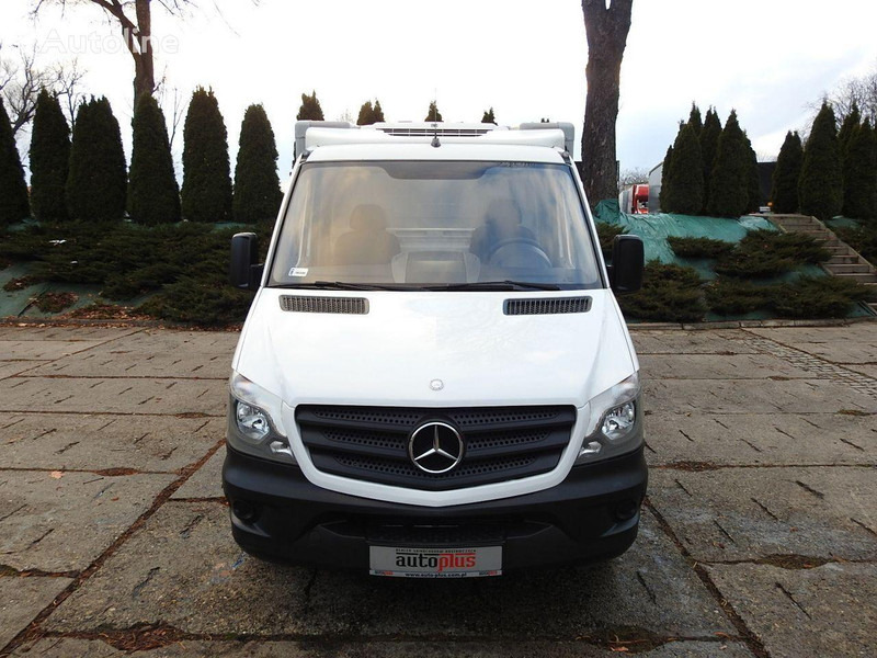 Mercedes-Benz SPRINTER 313 Izotermes - Kølevogn lastbil: billede 5 Mercedes-Benz SPRINTER 313 Izotermes - Kølevogn lastbil: billede 5