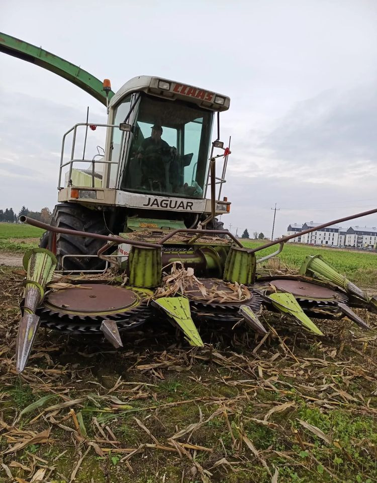 Claas Jaguar 840 - Grønthøster: billede 2 Claas Jaguar 840 - Grønthøster: billede 2