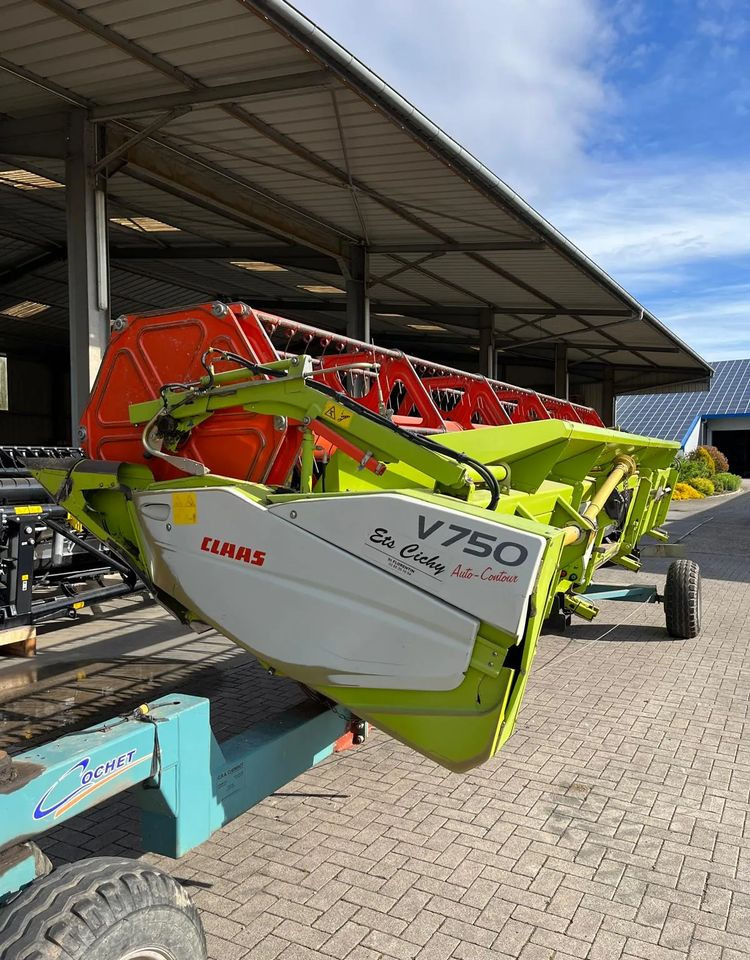 Claas Claas Vario 750 - Skærebord til korn: billede 1 Claas Claas Vario 750 - Skærebord til korn: billede 1
