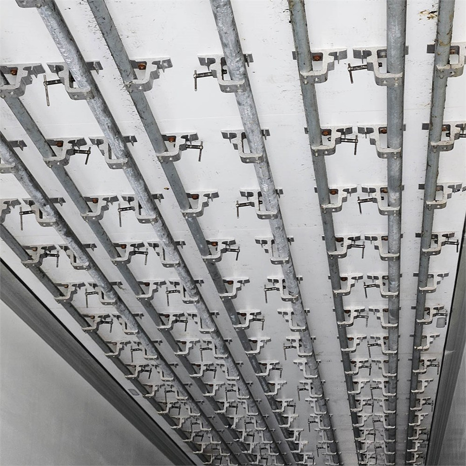 Kølevogn sættevogn Schmitz Køle Trailer: billede 12