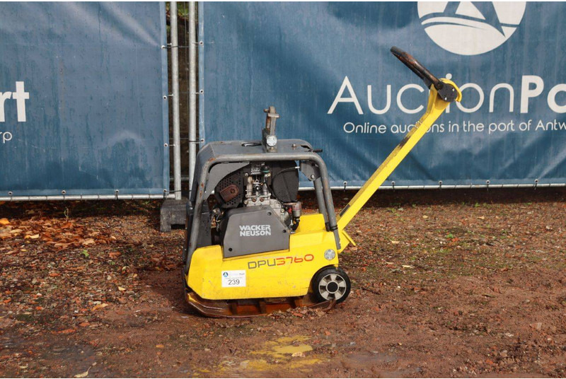 Neuson DPU3760 - Pladevibrator: billede 1 Neuson DPU3760 - Pladevibrator: billede 1