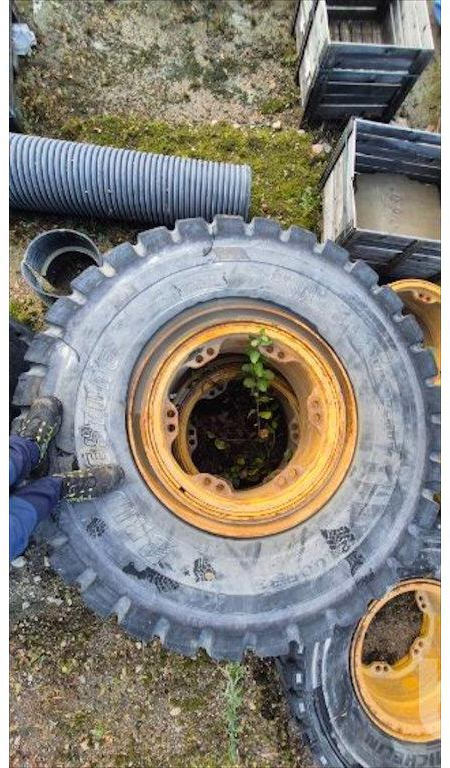 Cat 772 - Komplet hjul for Entreprenørmaskin: billede 4 Cat 772 - Komplet hjul for Entreprenørmaskin: billede 4