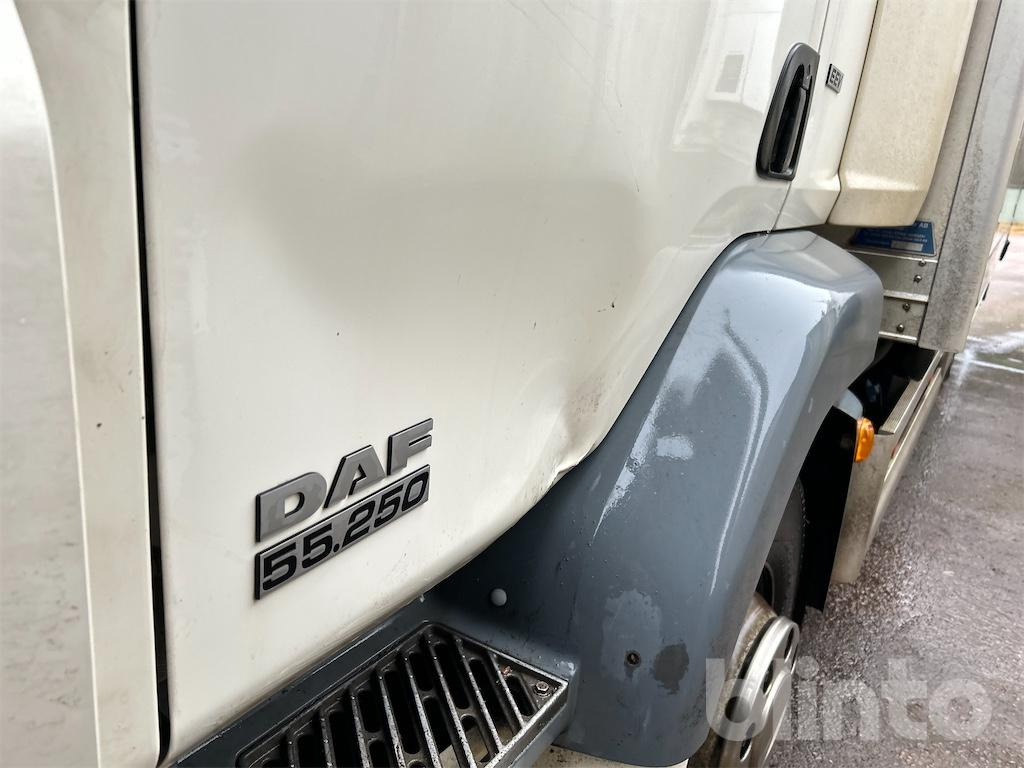 Kølevogn lastbil DAF FA LF55250G: billede 8
