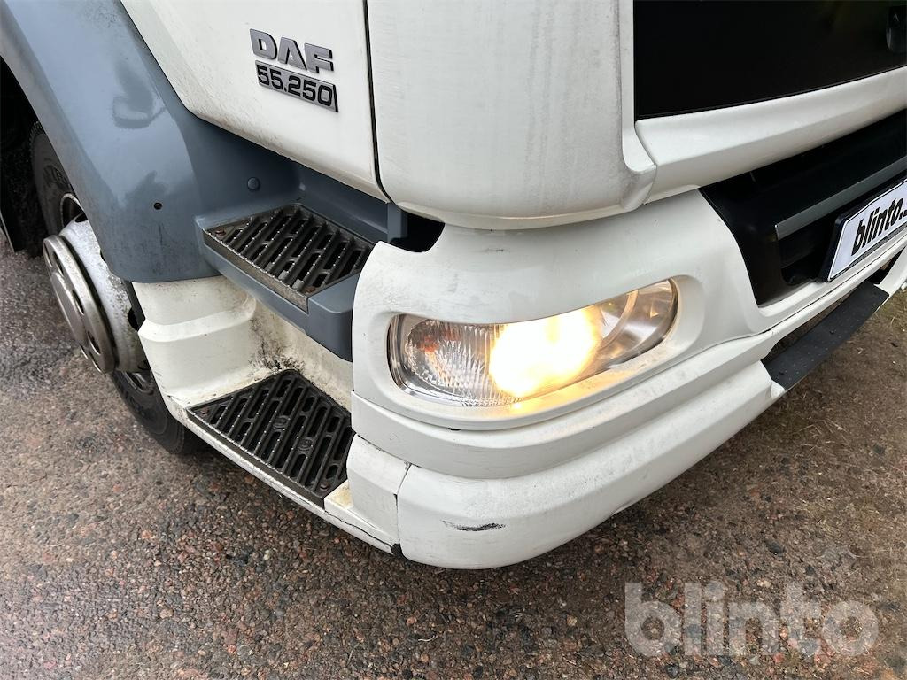 Kølevogn lastbil DAF FA LF55250G: billede 33