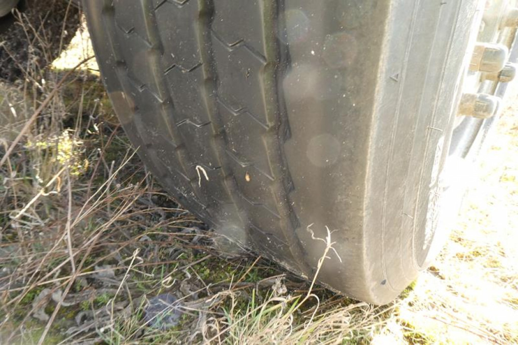 SCHMITZ GOTHA Abrollcontainernanhänger ACF 18 Containeranhänger S -Schlitten - Kroghejsvogn/ Skip loader anhænger: billede 5 SCHMITZ GOTHA Abrollcontainernanhänger ACF 18 Containeranhänger S -Schlitten - Kroghejsvogn/ Skip loader anhænger: billede 5