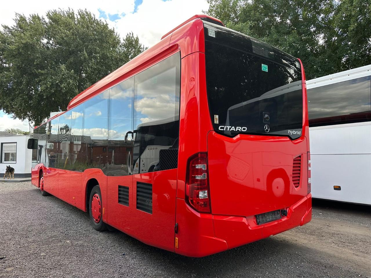 Mercedes-Benz O 530 C2 Citaro LE 260KW*Klimaanlage - Bybus: billede 3 Mercedes-Benz O 530 C2 Citaro LE 260KW*Klimaanlage - Bybus: billede 3