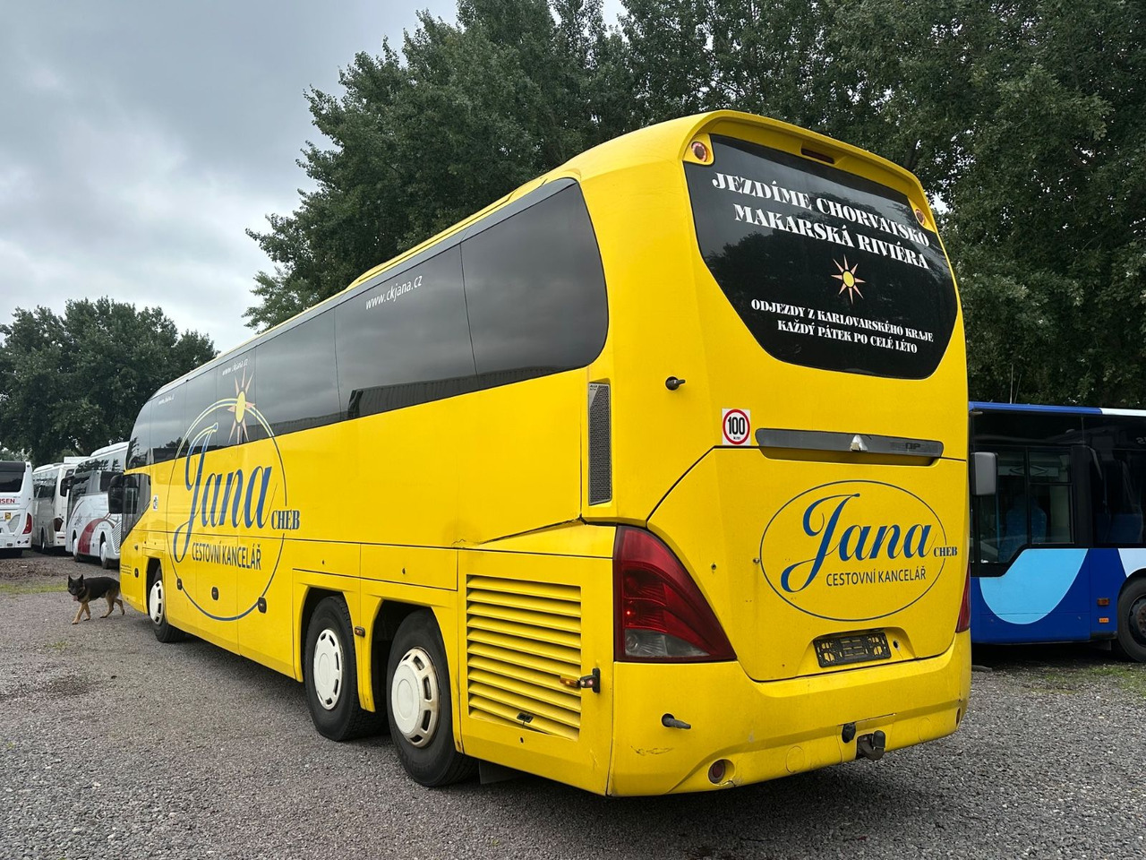 Neoplan P15 Cityliner Euro4*55 Sitze - Turistbus: billede 2 Neoplan P15 Cityliner Euro4*55 Sitze - Turistbus: billede 2